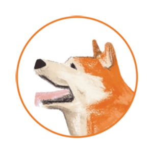 Hachi