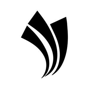 Social Swap Token 